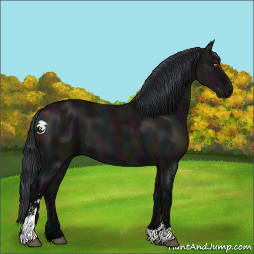 Horse Color:Midnight Grullo Sabino 