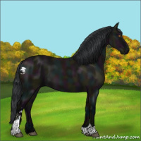 Horse Color:Midnight Grullo Sabino 