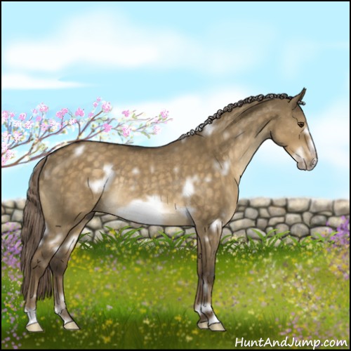 Horse Color:White Spotted Chocolate Palomino Dun Frame Rabicano 