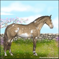 Horse Color:White Spotted Chocolate Palomino Dun Frame Rabicano 