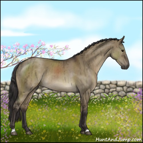 Horse Color:Smoky Grullo Brindle 