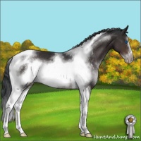 Horse Color:Brown Sabino Tobiano Frame 