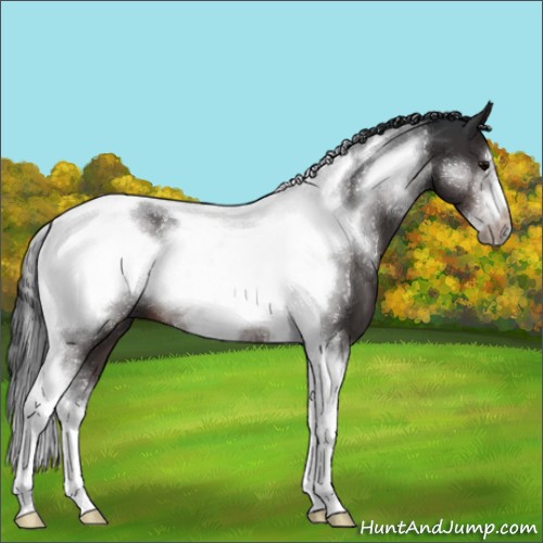 Horse Color:Brown Sabino Tobiano Frame 