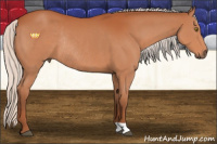 Horse Color:Silver Bay Rabicano