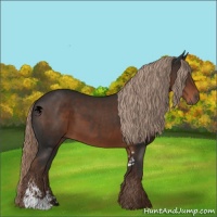Horse Color:Liver Chestnut Sabino 