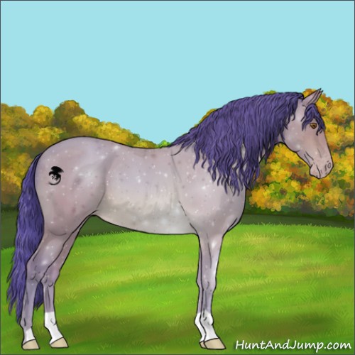 Horse Color:Watercolor Sable Champagne 