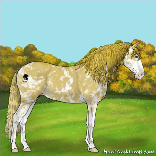 Horse Color:Watercolor Liver Red Dun Sabino 