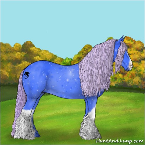 Horse Color:Watercolor Liver Chestnut 