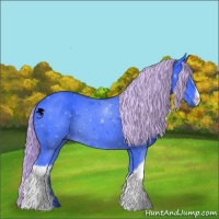 Horse Color:Watercolor Liver Chestnut 