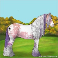 Horse Color:Watercolor Amber Champagne Dun Sabino Tobiano Brindle 