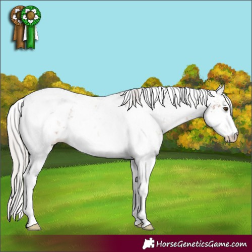 Horse Color:Silver Brown Dun Sabino 