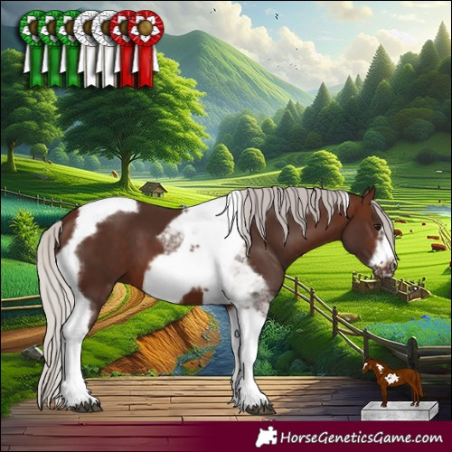 Horse Color:Silver Brown Tobiano Frame