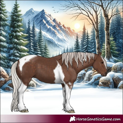 Horse Color:Silver Black Tobiano
