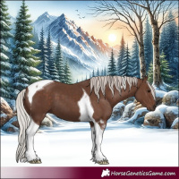 Horse Color:Silver Black Tobiano 