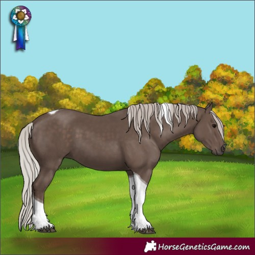 Horse Color:Silver Black Tobiano 