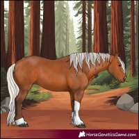 Horse Color:Silver Bay Tobiano