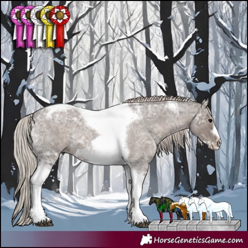 Horse Color:Silver Blue Ice Roan Tobiano Frame 