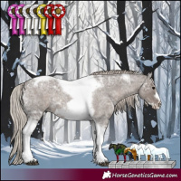 Horse Color:Silver Blue Ice Roan Tobiano Frame
