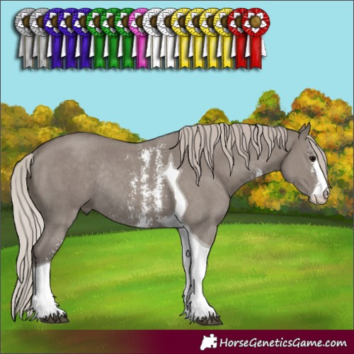 Horse Color:Silver Grullo Sabino Tobiano Rabicano 