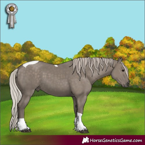 Horse Color:Silver Grullo Tobiano 