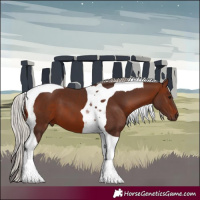 Horse Color:Silver Brown Tobiano 