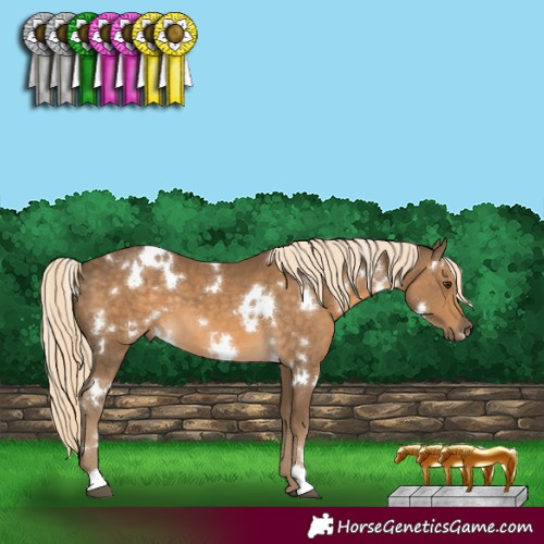 Horse Color:White Spotted Chocolate Palomino 