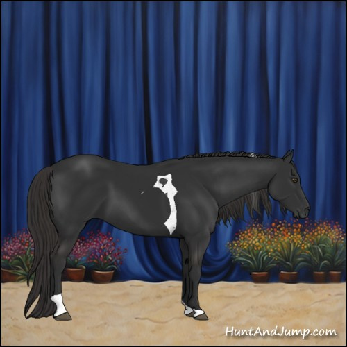 Horse Color:Liver Chestnut Tobiano 