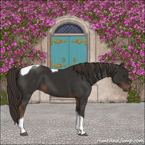 Horse Color:Liver Chestnut Tobiano 