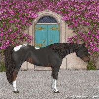 Horse Color:Liver Chestnut Tobiano 