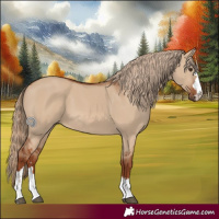 Horse Color:Red Dun 