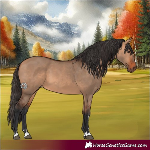 Horse Color:Bay Dun 