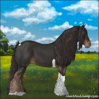 Horse Color:Liver Chestnut Tobiano 