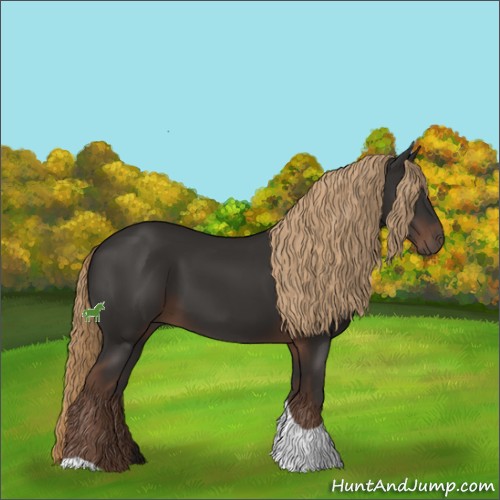 Horse Color:Liver Chestnut Tobiano