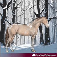 Horse Color:Amber Champagne Sabino Tobiano Varnish  and Amber Champagne Sabino Tobiano Varnish 