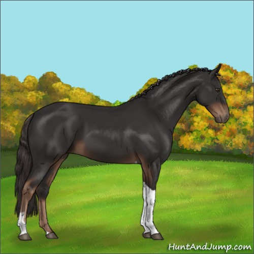 Horse Color:Liver Chestnut Tobiano 