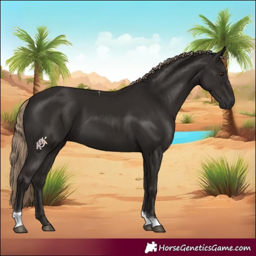 Horse Color:Liver Chestnut Tobiano