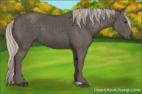 Horse Color:Silver Black 