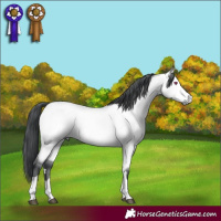 Horse Color:Bay Chinchilla Dun