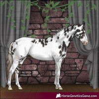 Horse Color:Liver Chestnut Tobiano Frame Leopard 