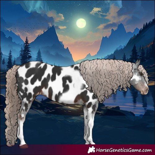 Horse Color:Liver Chestnut Tobiano Frame Appaloosa 