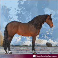 Horse Color:Brown 