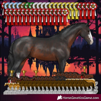 Horse Color:Brown 