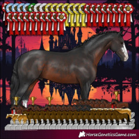 Horse Color:Brown 