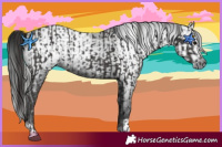 Horse Color:Smoky Black  and Gray Smoky Black 