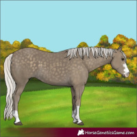 Horse Color:Silver Smoky Black 