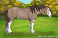 Horse Color:Classic Champagne Splash Rabicano and Classic Champagne Splash Rabicano