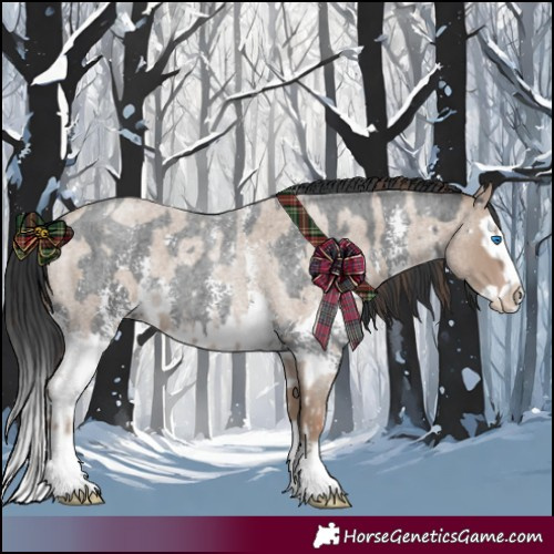 Horse Color:Classic Champagne Roan Sabino Splash and Blue Roan Sabino Splash