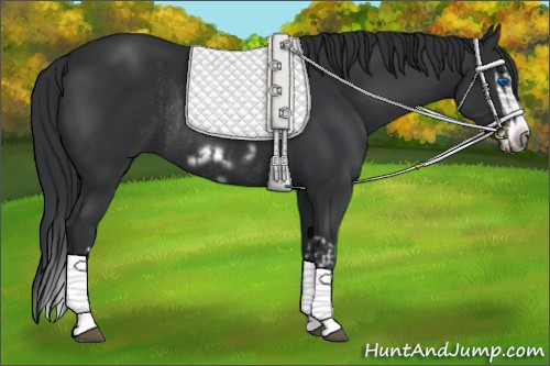 Horse Color:Black Splash Rabicano  and Black Splash Frame Rabicano 