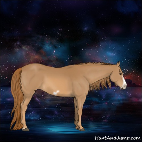 Horse Color:Chestnut Frame 