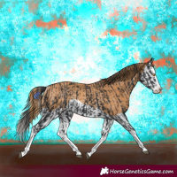 Horse Color:Black Splash Rabicano  and Chestnut Splash Rabicano 